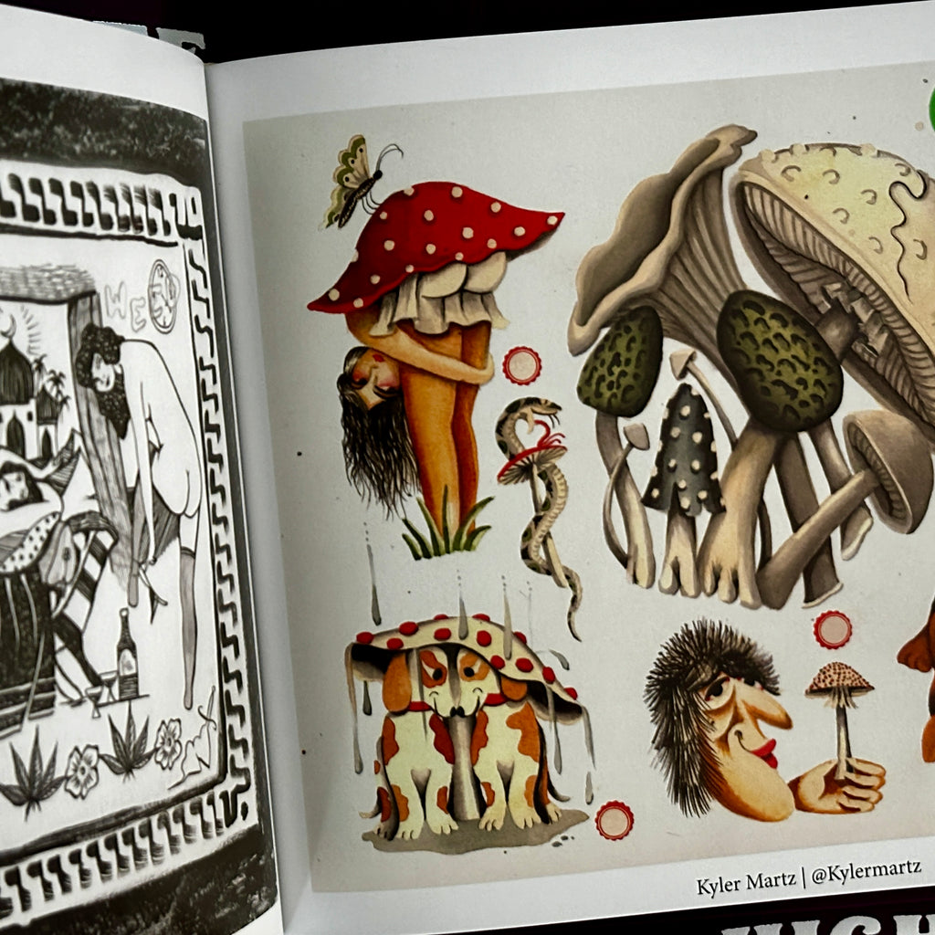 Danny G - High as a Kite: A Guide to Psychedelics – BELZEL BOOKS