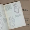 Inside pages of Garden of Snakes by Eckel featuring a detailed how-to guide on drawing snakes.