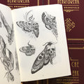 Inside pages of Neil Dransfield - Heartache and Heartbreak featuring pencil drawings of moths and skulls. 
