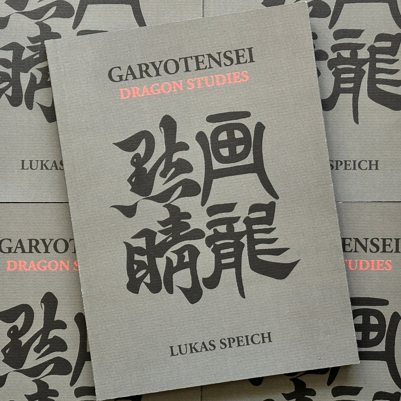 Front cover of Garyotensei, featuring a grey background with mandarin characters on the cover