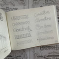A Sign Painter's Sketchbook: Hand Drawn by Noel B. Weber