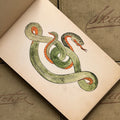 Inside pages of Late of the Guards: Tattoo designs by Ben Corday book featuring a color painting of a green snake connecting on itself.