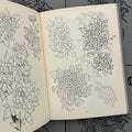 Inside pages of Inkumaku by Salvio featuring line drawings of Japanese chrysanthemums. 