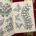 Inside pages of Hand-Drawn by Ed Staples featuring line drawings of moths and skull insects.