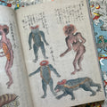 Inside pages of, 'Yokai', featuring kappa's in different poses with Japanese script