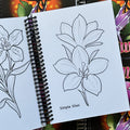 Inside pages of Damon Conklin, 'Flower Power', featuring a line drawing of two lilies with leaves and a stem and the text 'simple lilies'