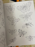 Butterfly line drawings from Sailor Jerry’s Tattoo Stencils (Vol. 1)