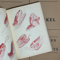 Inside pages of Garden of Snakes by Eckel featuring sketches of snake heads in red.
