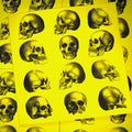 Front cover of Skulls Vol. 1 featuring realistic drawings of human skulls on a yellow cover.