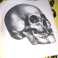 Inside pages of Skulls Vol. 1 featuring black and gray images of human skulls.