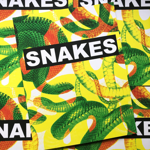 Front cover of Snakes Book featuring snakes in bold colors.