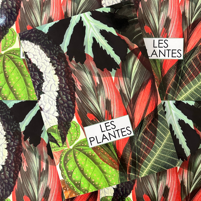 Front cover of Les Planted featuring an arrangement of a variety of leaves in color.