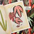 Inside pages of Les Plantes featuring illustrations of the Passiflora Trifasciata dn Terminalia Elegans leaves.