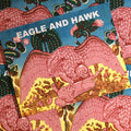 Eagle and Hawk