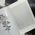 Inside pages of Chuco Moreno Book featuring text and a rose design with 'LOVE' lettering in the center.