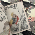 Inside pages of Japanese Birds by Imao Keinen featuring a colorful bird preening itself.
