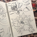 Beppe Shiro's sketches of Japanese flowers.