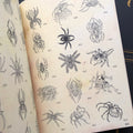 Dan Smith & Shaun Topper's The Good Book Vol. I features spiders.