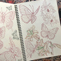 Beppe Shiro's sketches of butterflies and flowers.