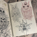 Owls and insects from Vol. 3 by Felipe Andrade.
