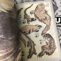 Animals in Hokusai: Collected Drawings.