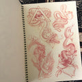 Inside pages of The Zeitgeist Book of Sketches featuring red pencil drawings of snakes and more. 