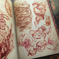 Snakes and roses in Hennes Sketches.